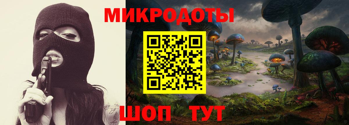 Псилоцибиновые грибы мицелий Междуреченск